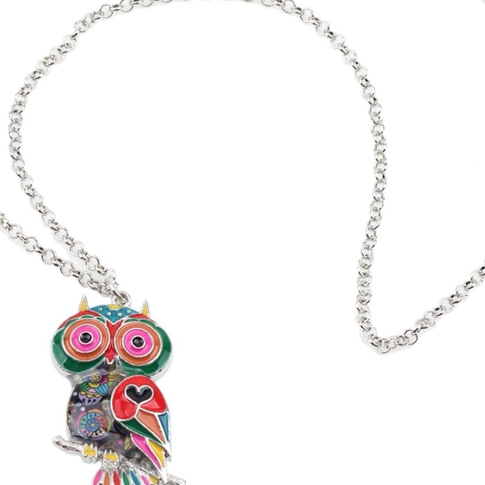 Colorful Owl Pendant Necklace - Picture 4 of 5